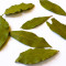 Lagerblad Lagerblad